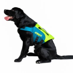 Jobe Pet Vest Lime/Teal -WaveX Pro Outlet Store jobe pet vest lime 240023001 3 500x500 1