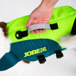 Jobe Pet Vest Lime/Teal -WaveX Pro Outlet Store jobe pet vest lime 240023001 4 500x500 1