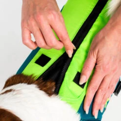 Jobe Pet Vest Lime/Teal -WaveX Pro Outlet Store jobe pet vest lime 240023001 5 500x500 1