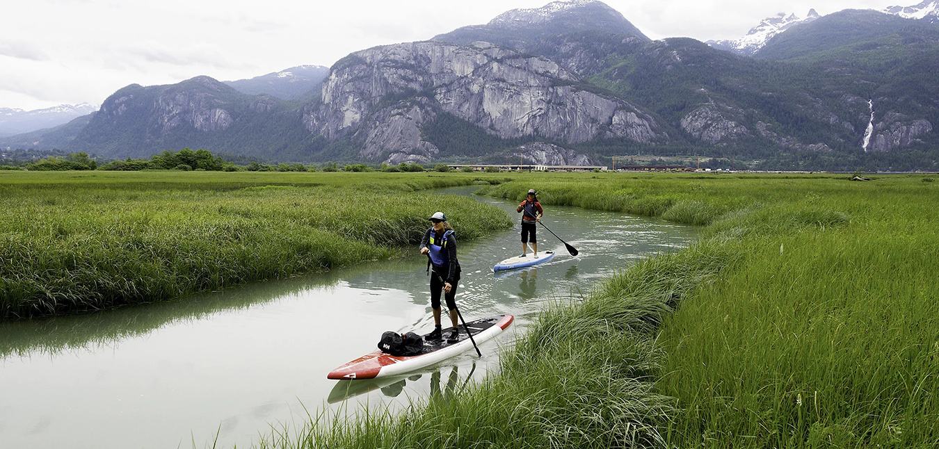 WaveX Pro Outlet Store -WaveX Pro Outlet Store gw54564654